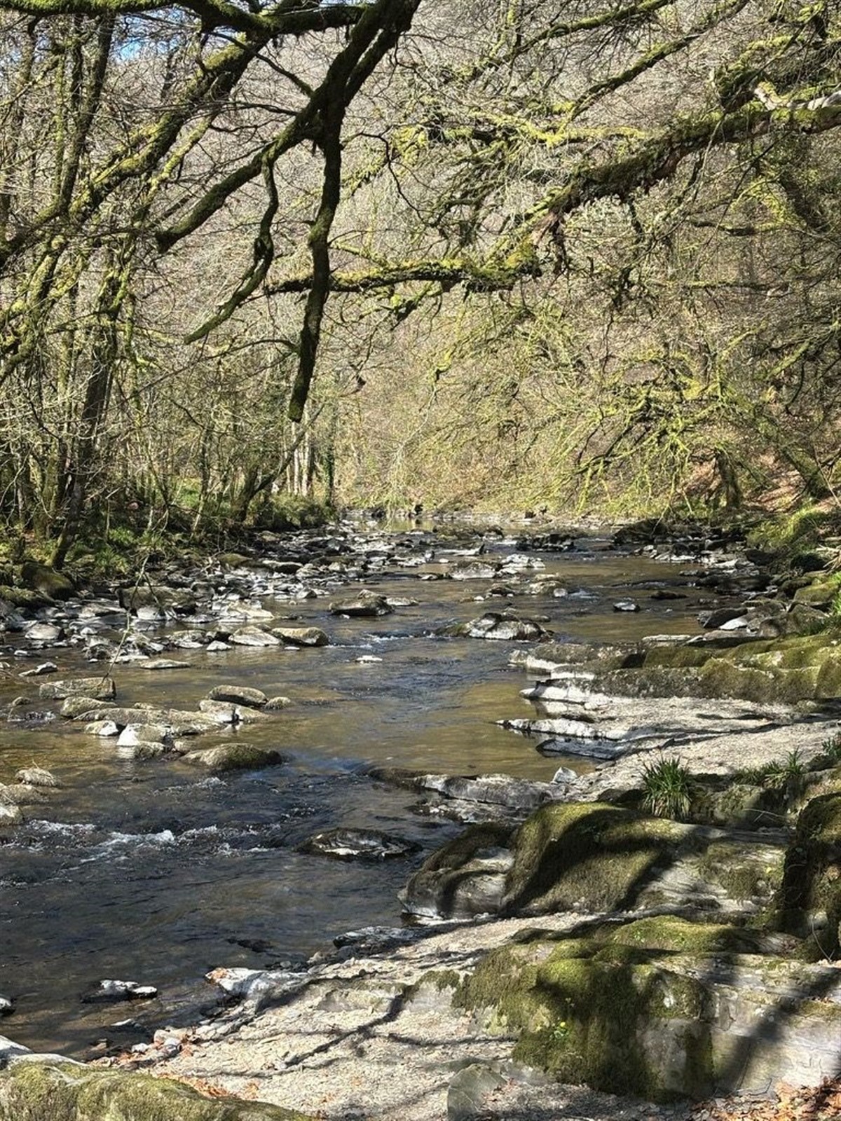 Perfect run in very low water
