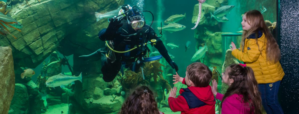 Macduff Marine Aquarium