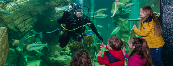 Macduff Marine Aquarium
