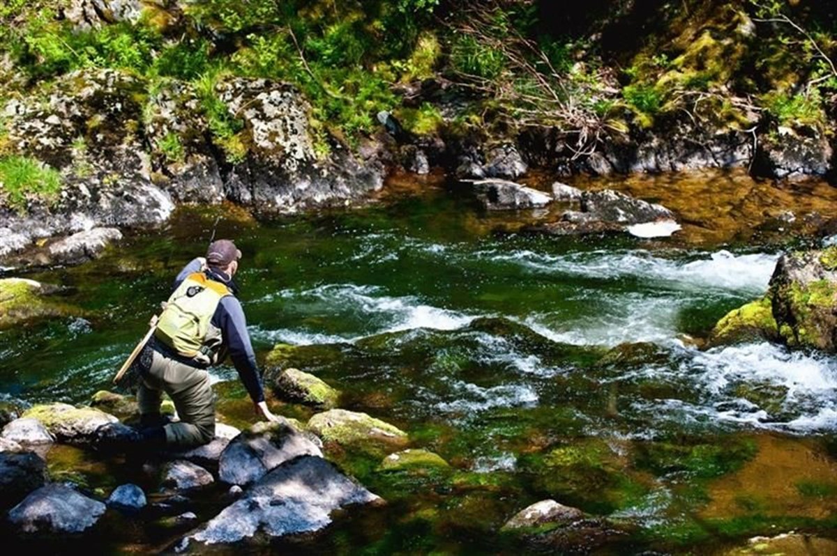 Devon Stream