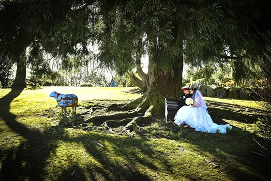 Under the Kissing Tree | Broadoaks Country House Lake District Wedding Venue