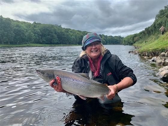 Fish from Black Stream