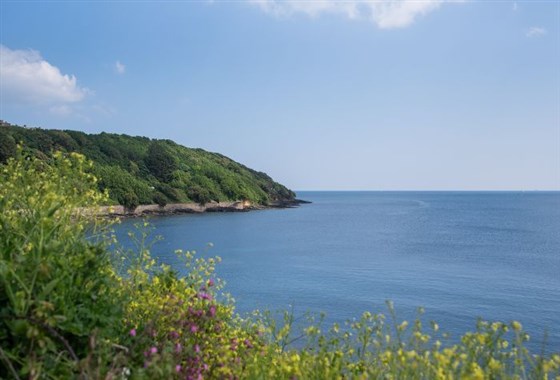 Castle Beach
