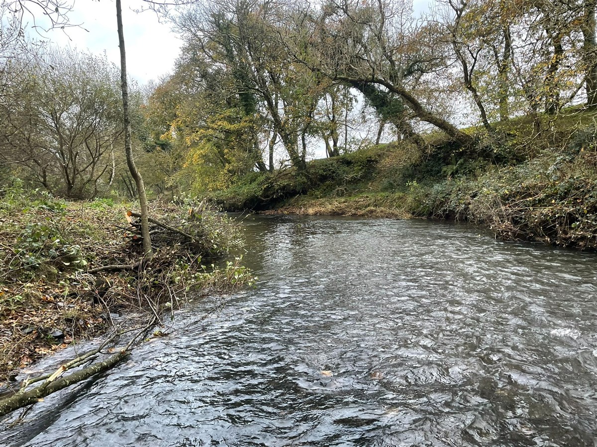 Lovely fly water