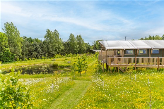Bridholme Glamping Lodges, Nottinghamshire 