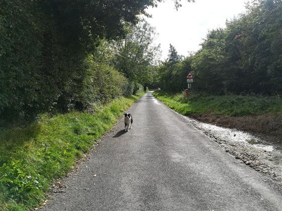 Holly Cottage B&B, Hagworthingham, Lincolnshire