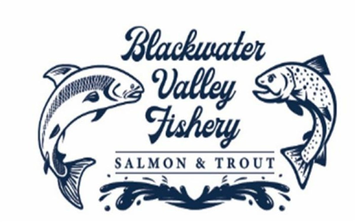 Blackwater Valley Fishery