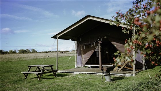 Canvas Hideaway