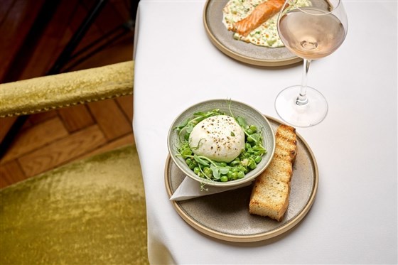 The Terrace Burrata Dish 