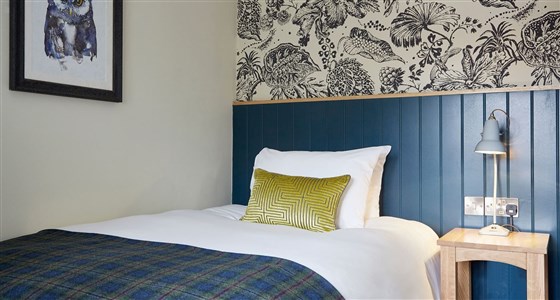 The Feathers Inn