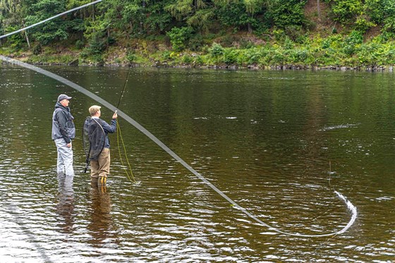 Dalguise Fishing
