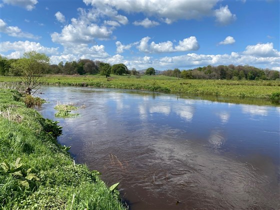 Strule River Rash Estate