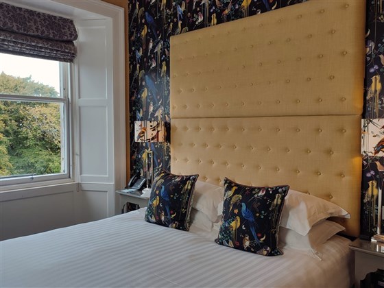 Habitación Doble Estándar