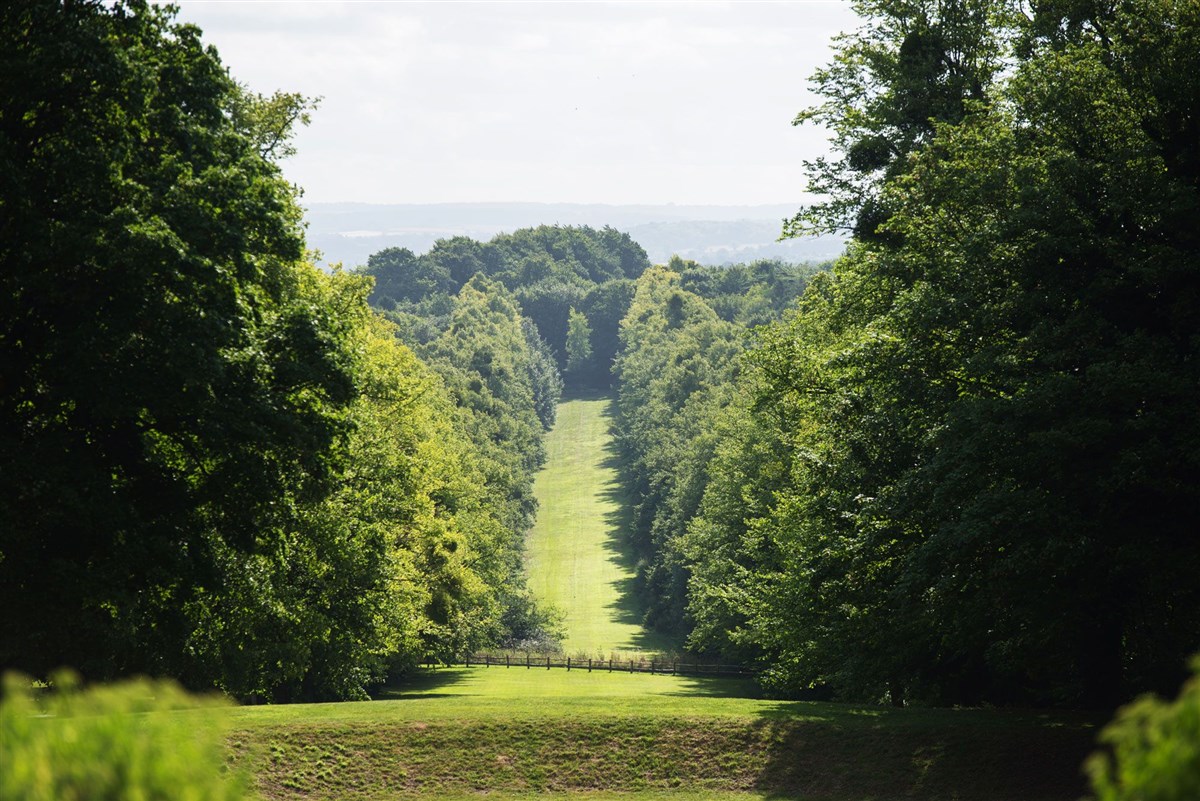Mile long avenue