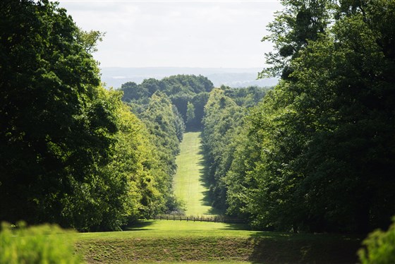 Mile long avenue