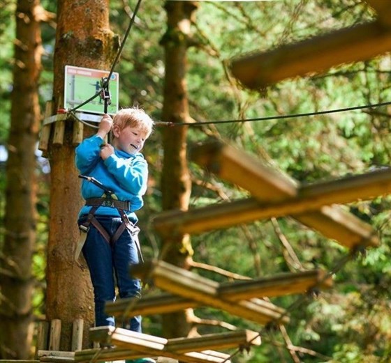Go Ape