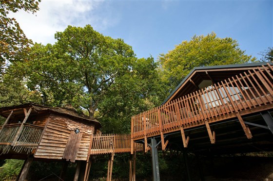 Treehouse Breaks at Forest Holidays, Forest of Dean