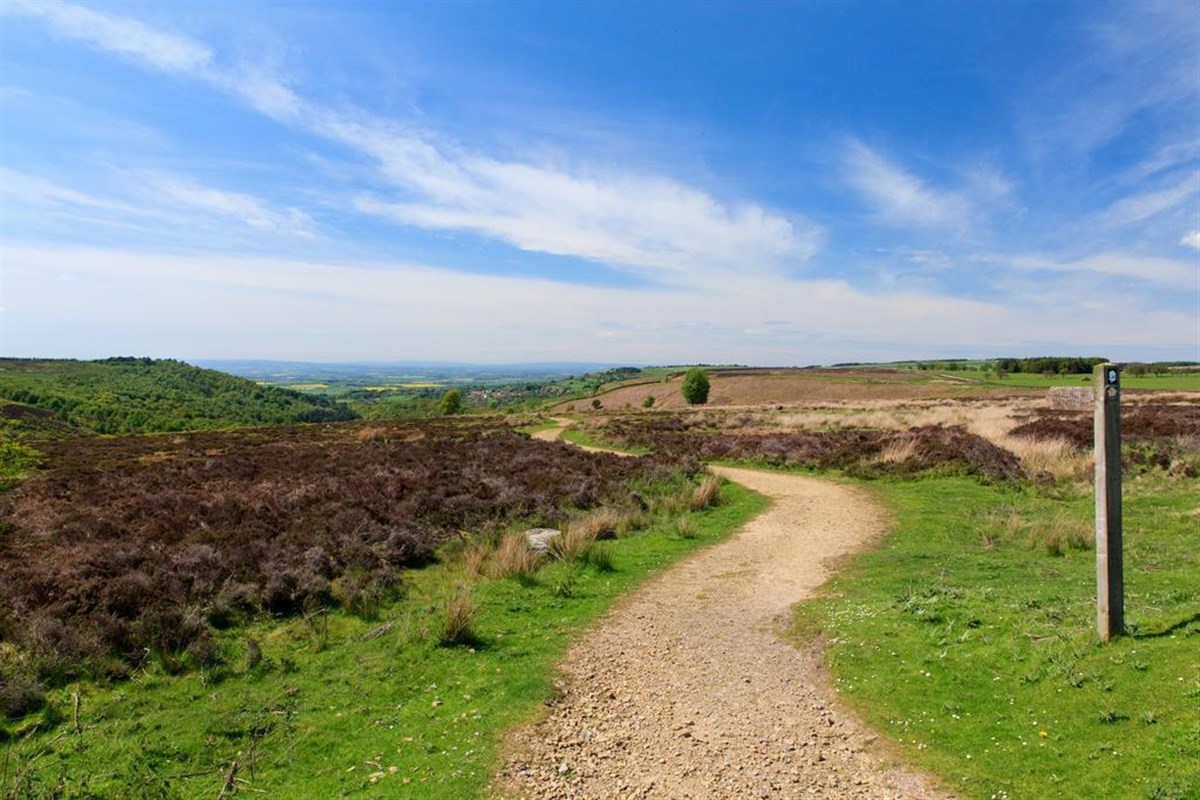 Woodlands Farm, Thimbleby