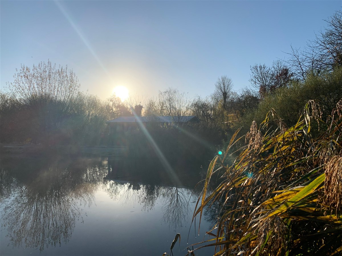 Winter sun