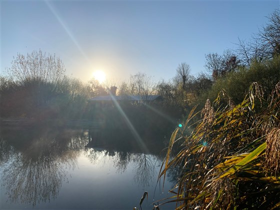 Winter sun