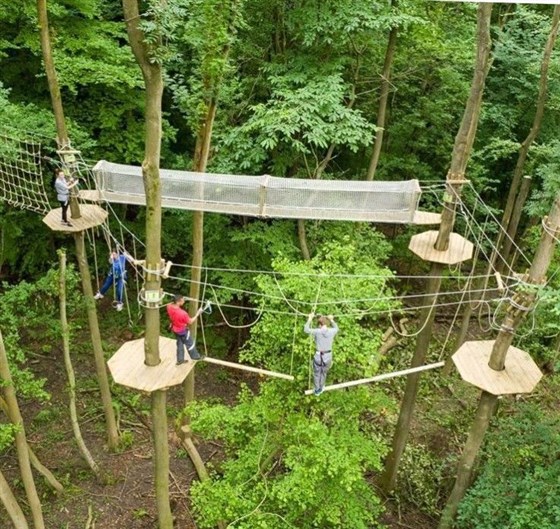 Go Ape