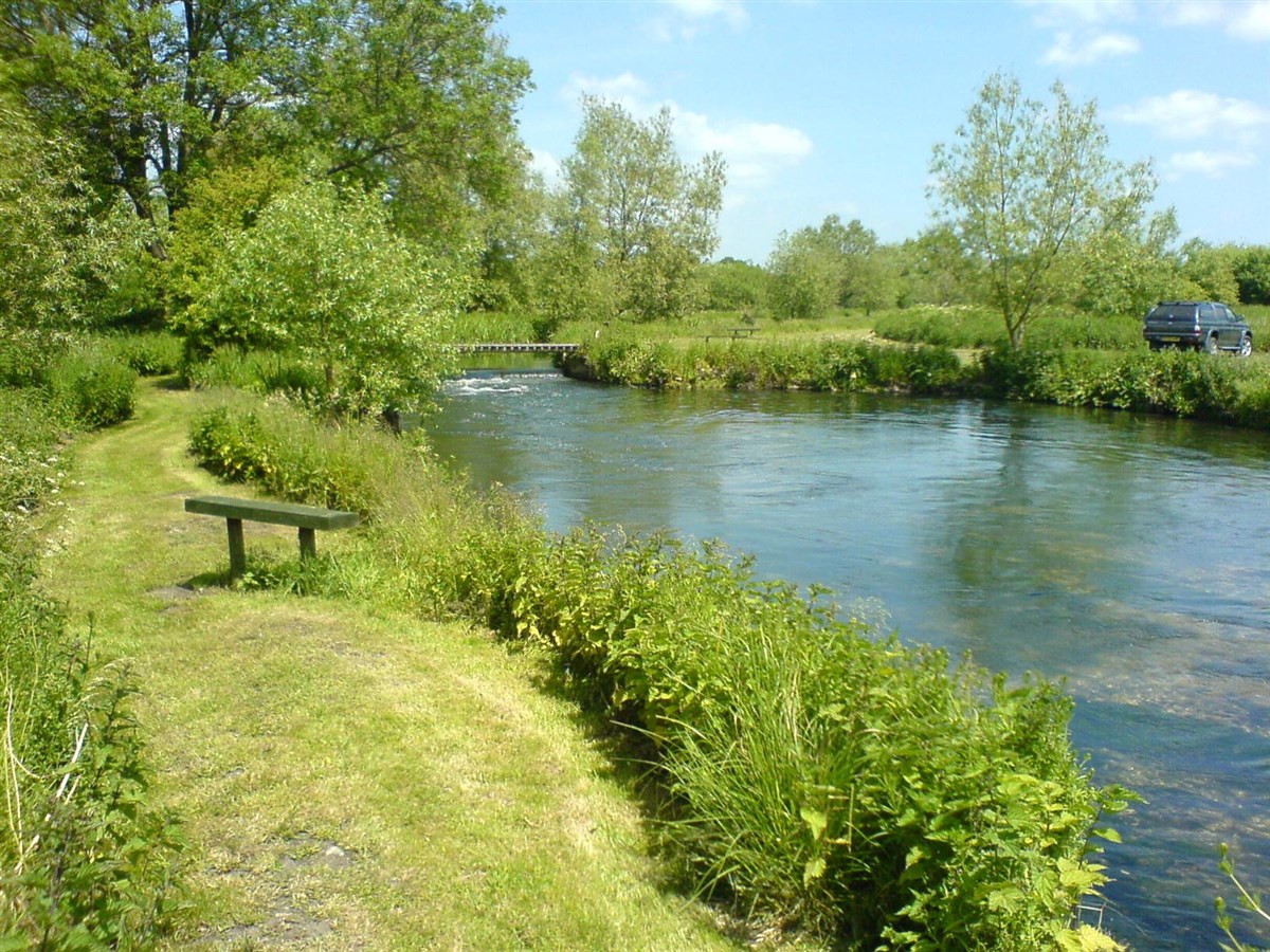 FishPal - England - Test And Itchen - Lower Itchen Trout