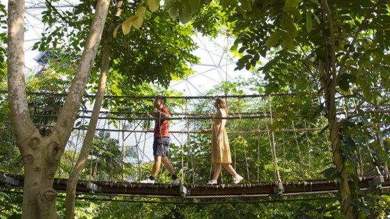 The Eden Project