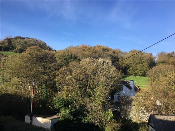 view from family room.