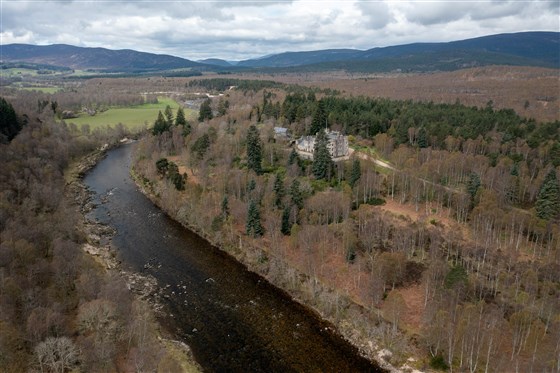 Dinnet