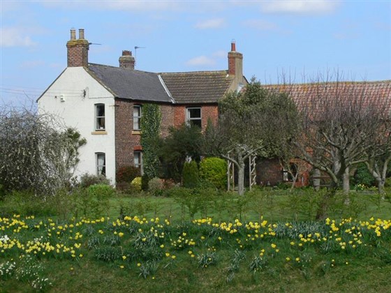 Lovesome Hill Farm