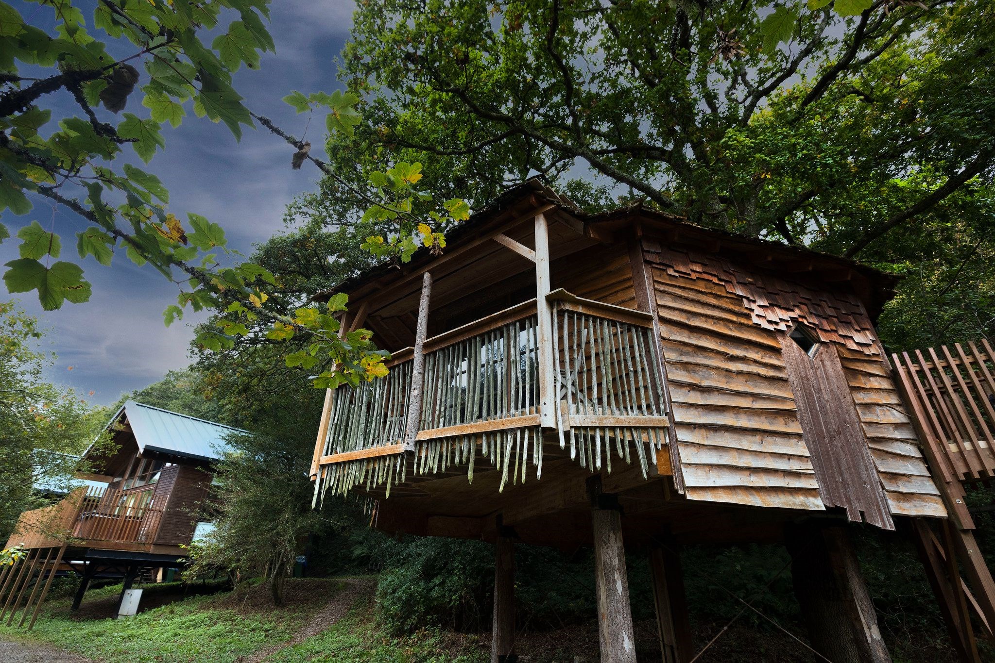 Forest Holidays, Keldy photo 4