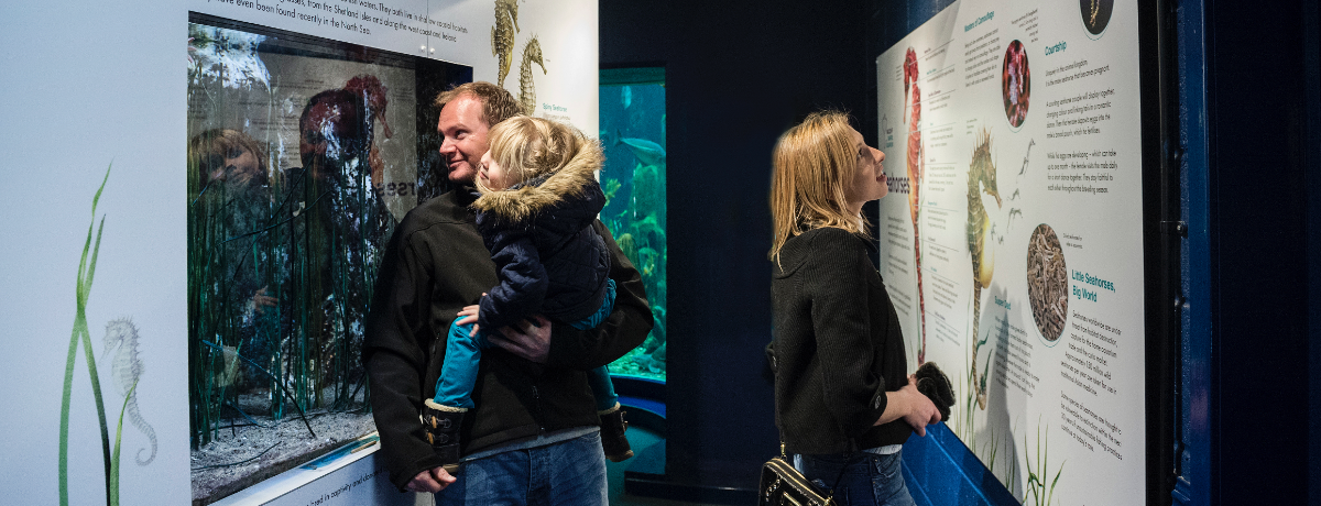 Macduff Marine Aquarium