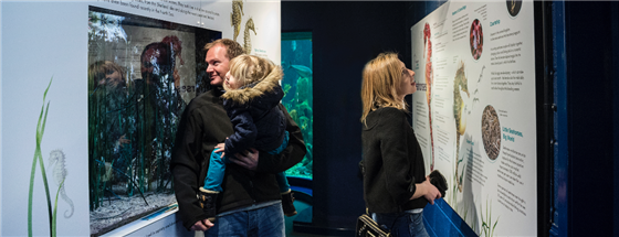Macduff Marine Aquarium