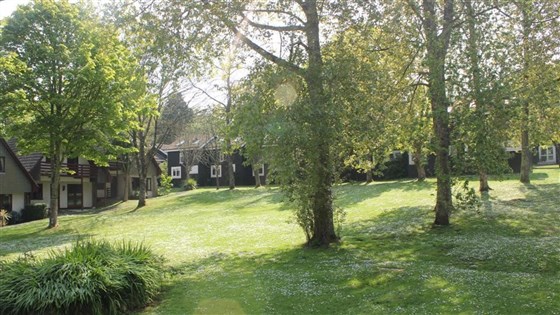 Park Views
