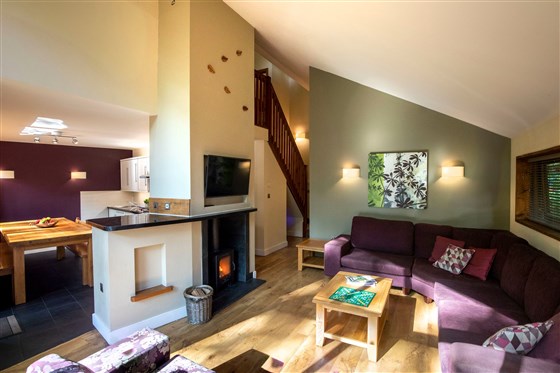 Treehouse Breaks at Forest Holidays, Forest of Dean