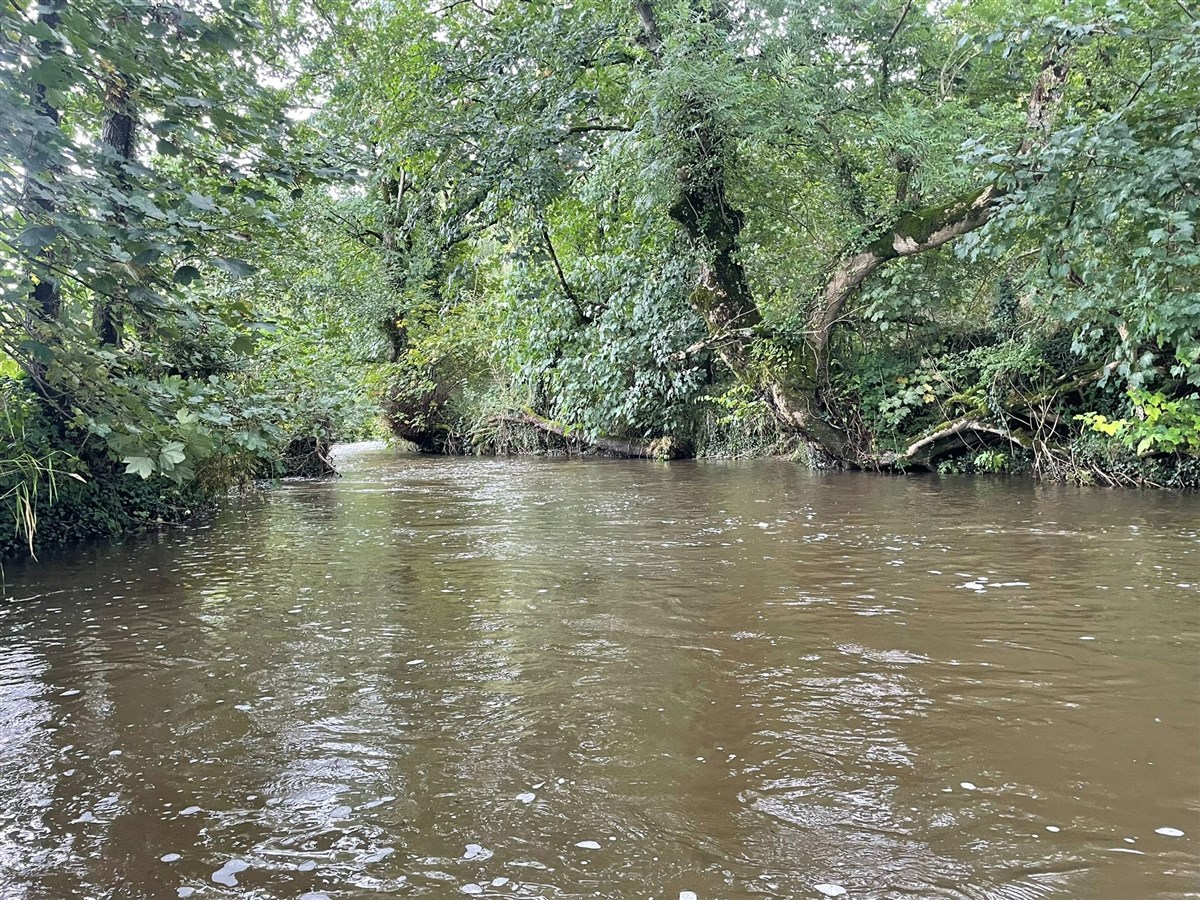 High Water