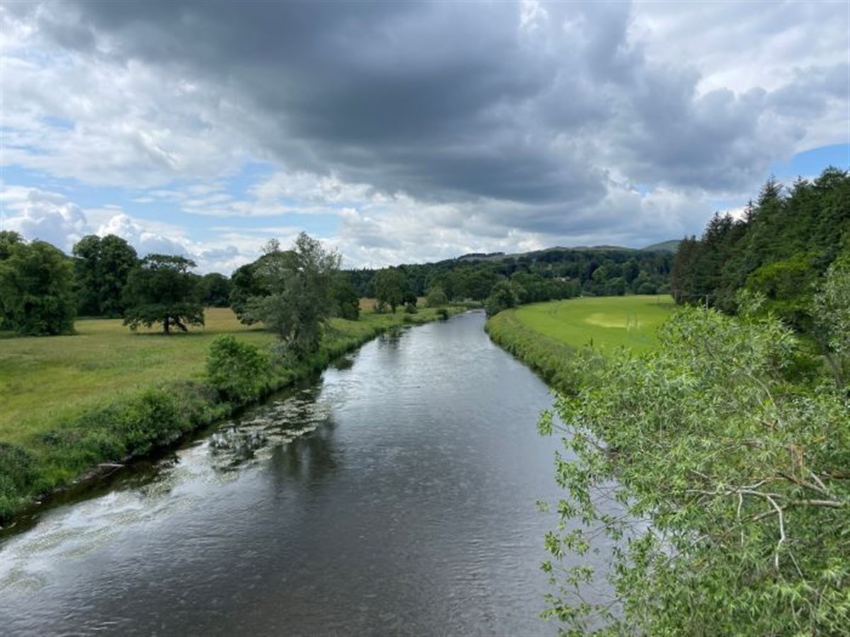River Tweed Fairnilee