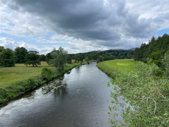 River Tweed Fairnilee