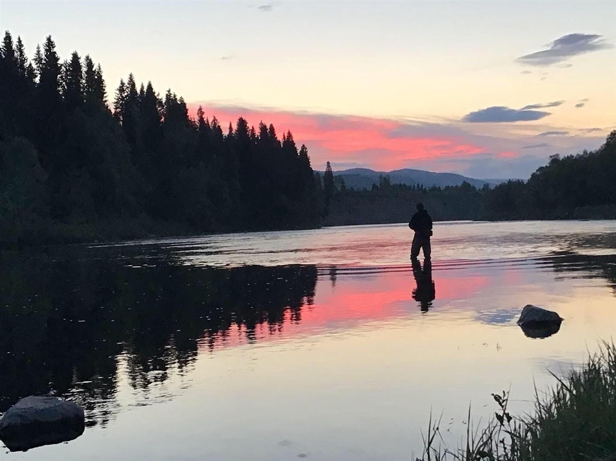 Enjoy sunsets