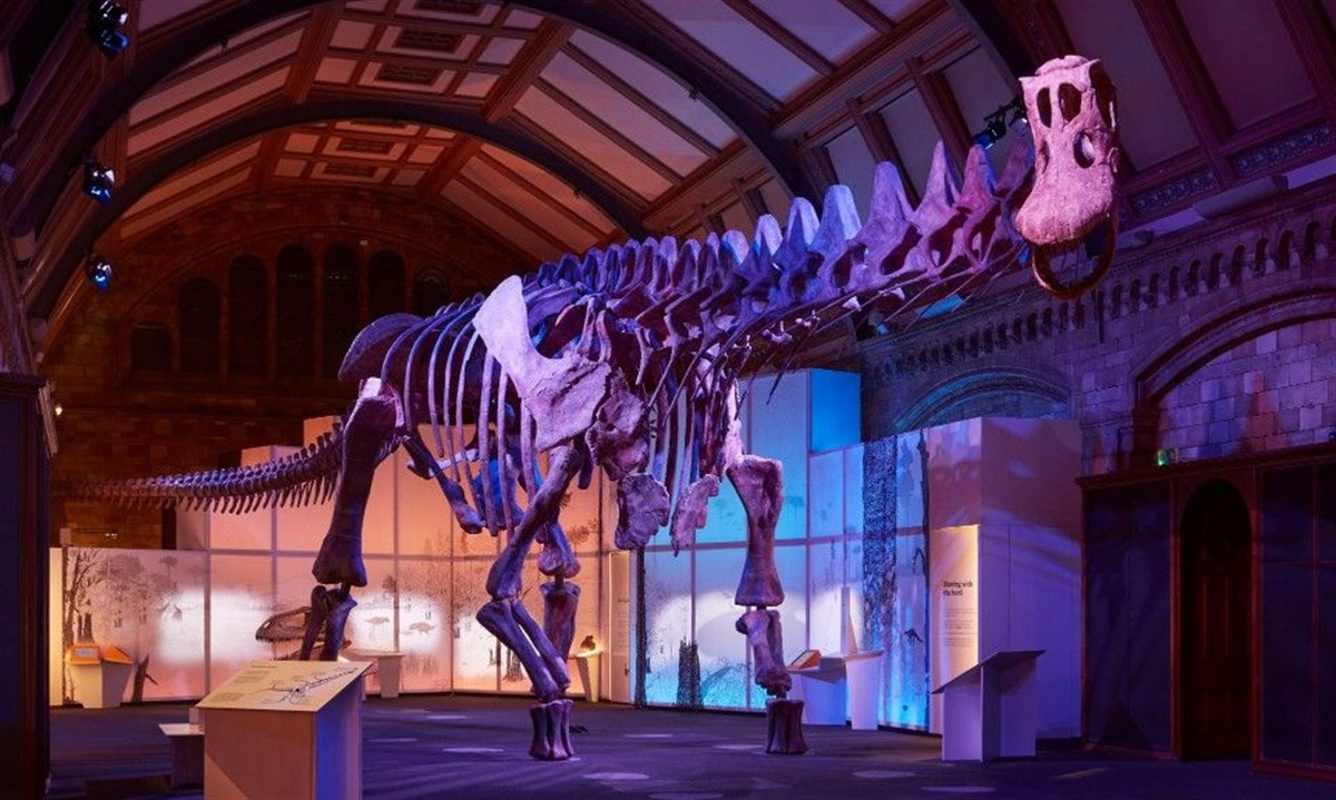 Natural History Museum, London