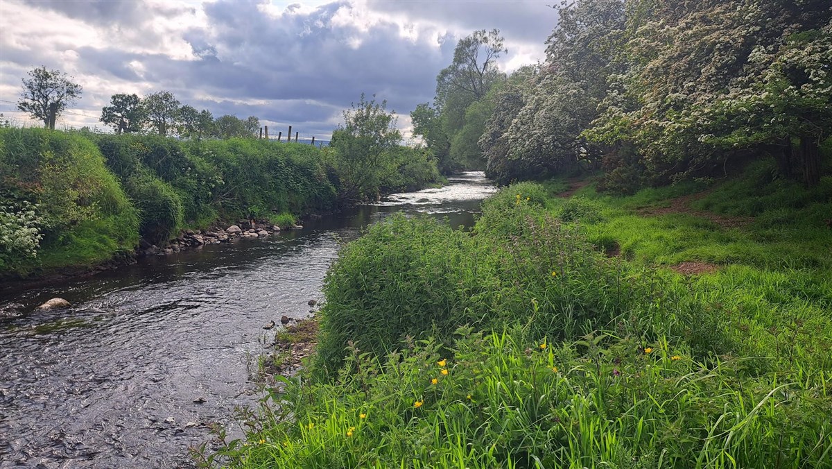 Ballymoney Burn