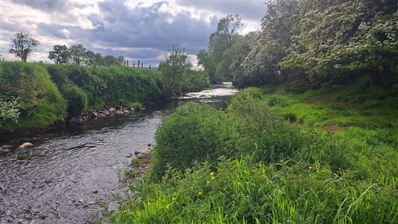 Ballymoney Burn