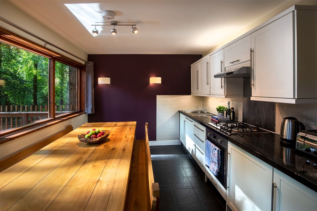 Treehouse Breaks at Forest Holidays, Forest of Dean