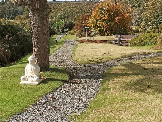View of the garden from Carn Menyn suite