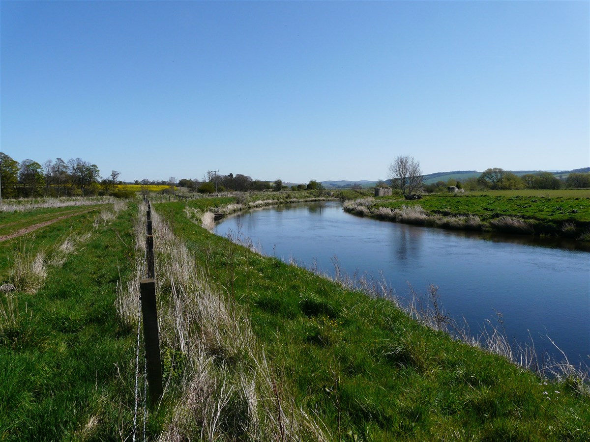 Monteviot Beat