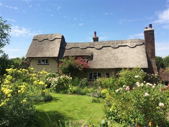 Thatched Cottage