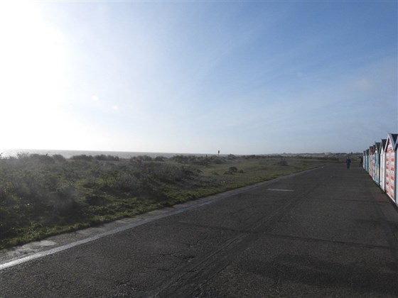 Promenade View