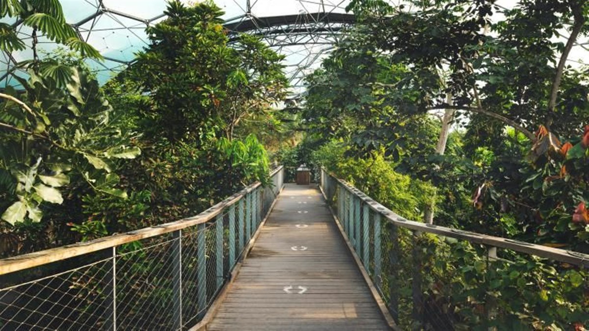 The Eden Project