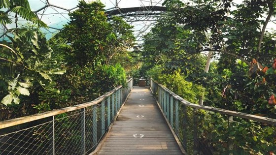 The Eden Project