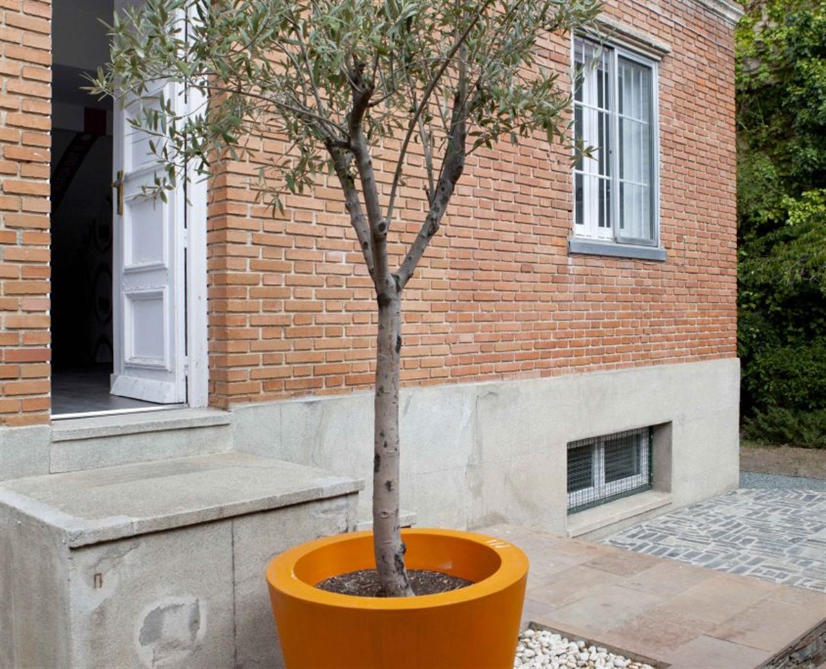 Externo